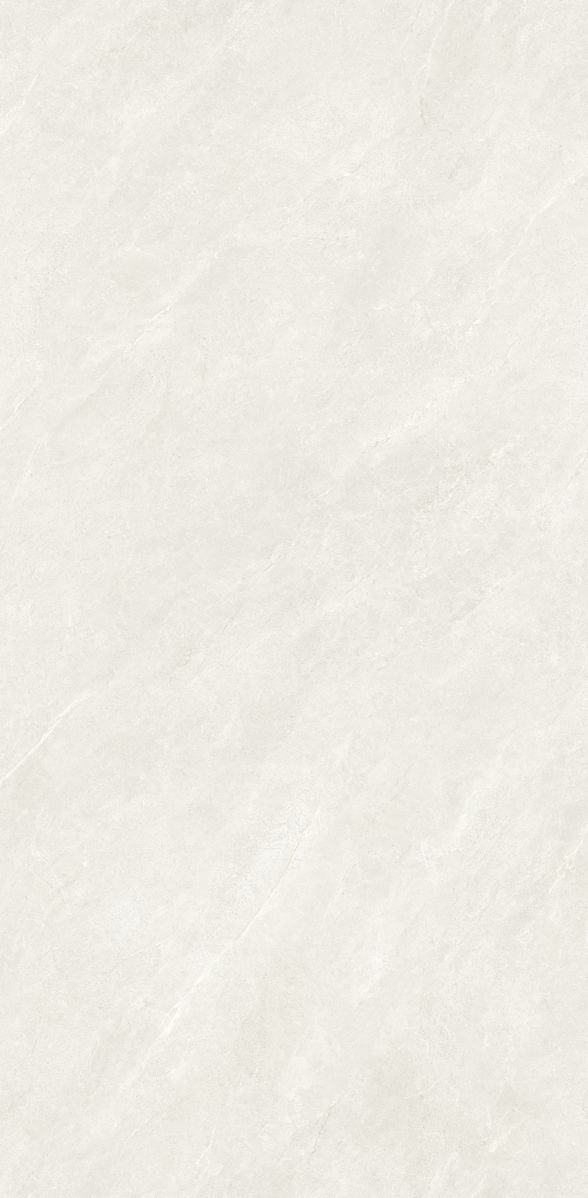 OPTB612001J.jpg