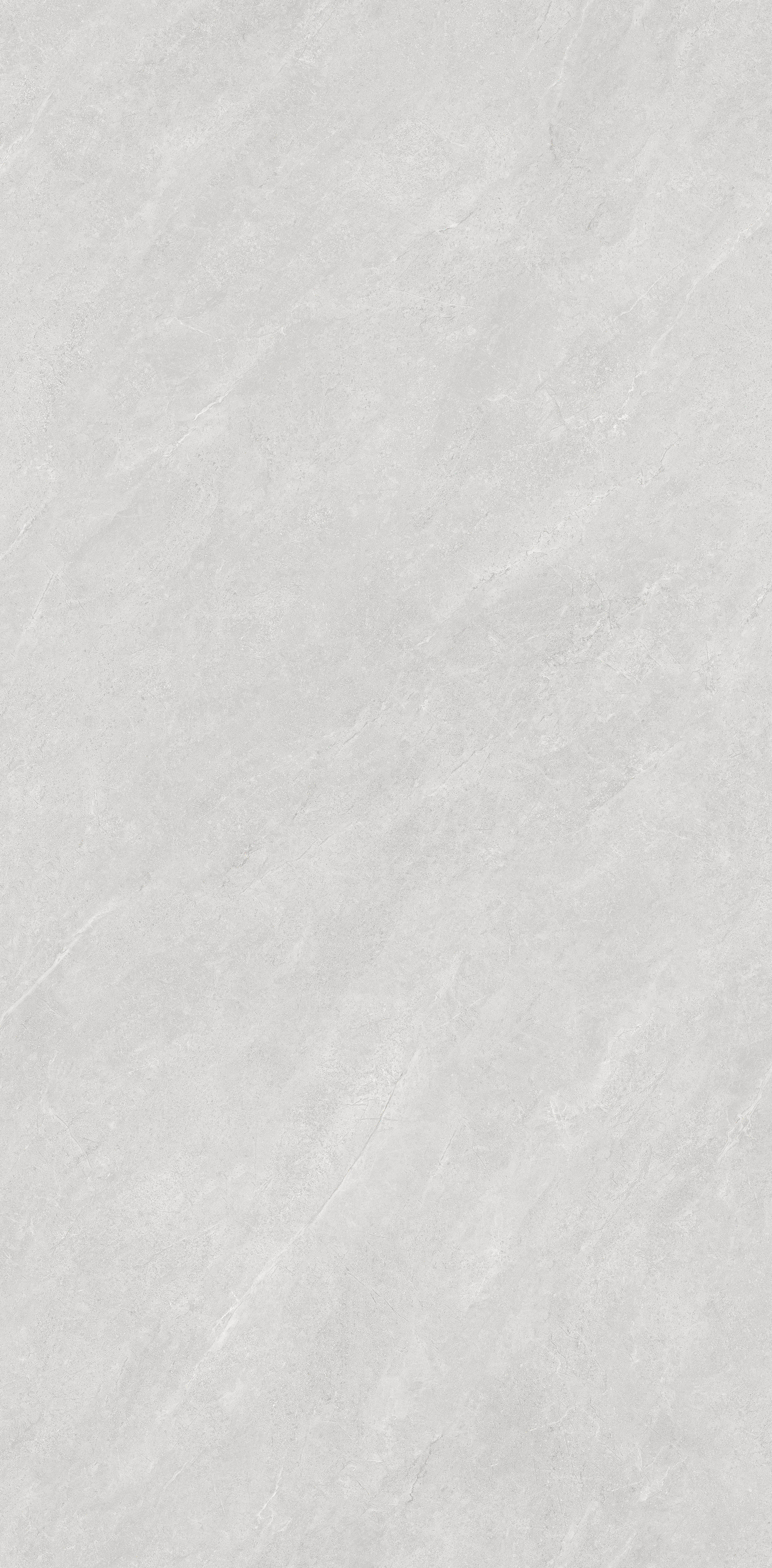 OPTB612006J.jpg
